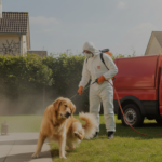 Pest Control Service In Giza