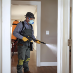 شركة مكافحة حشرات في مدينة نصر الجديدة