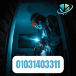 الشركة الألمانية الأصلية