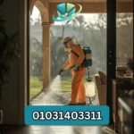 الشركة الالمانية في طوسون